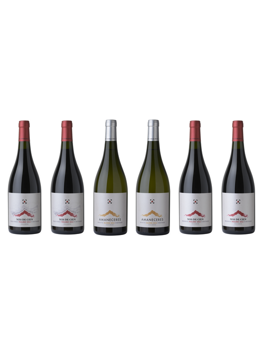 CICLO ANDINO Kennenlernpaket - 6 Flaschen